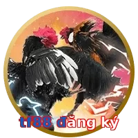 tf88 đăng ký